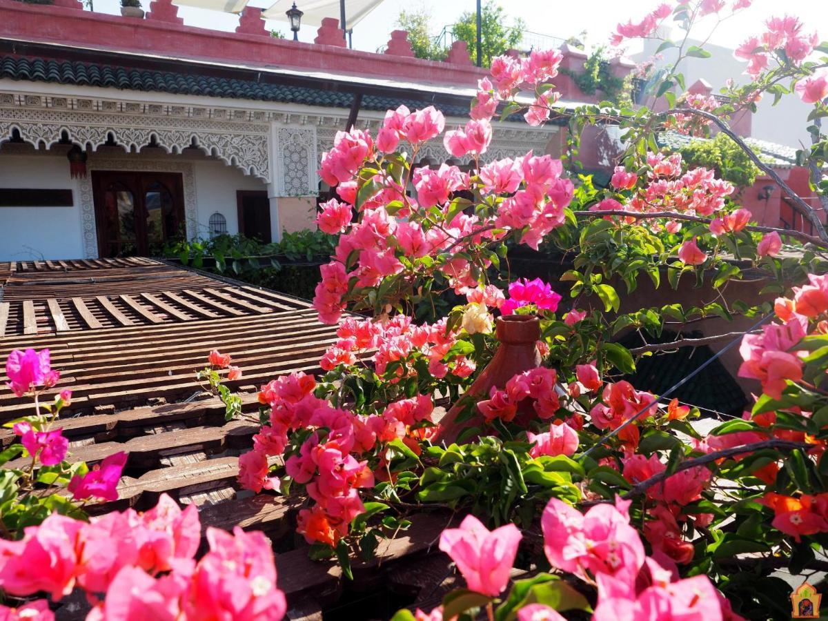 Riad Toyour- Riad Of Birds Fes Exterior photo