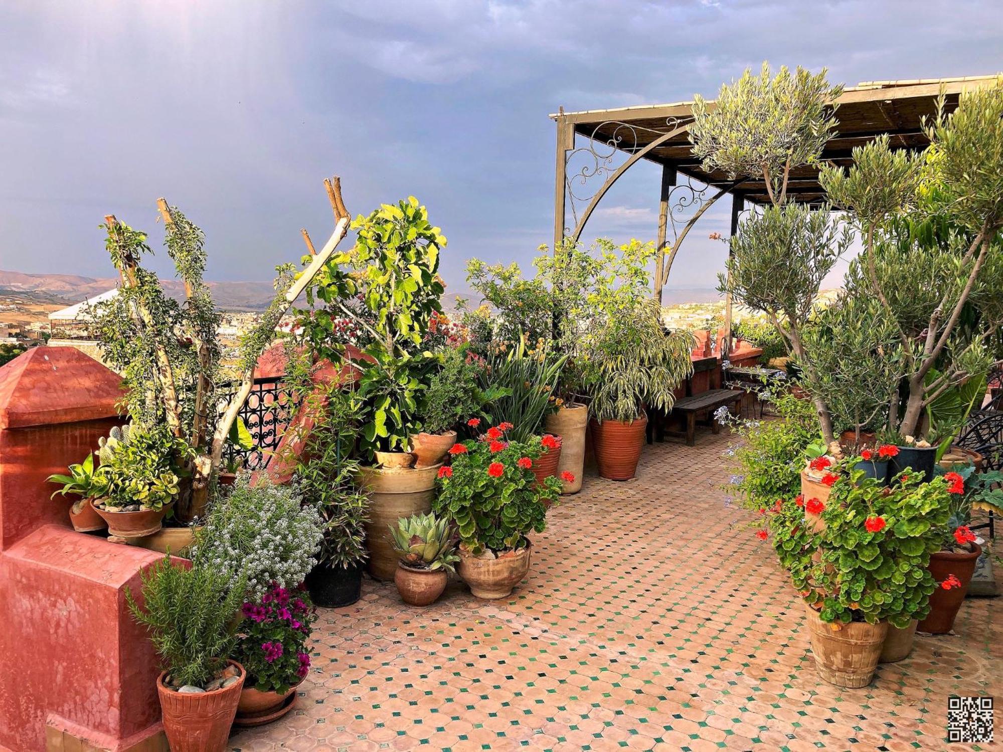 Riad Toyour- Riad Of Birds Fes Exterior photo